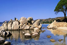 过去三年被全球禁赛!俄罗斯17场友谊赛不败,FIFA排名世界第34.